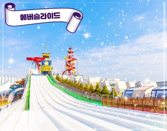 2026 겨울방학 일산 원마운트 스노우파크 총정리|63% 할인·주차꿀팁·체험 후기