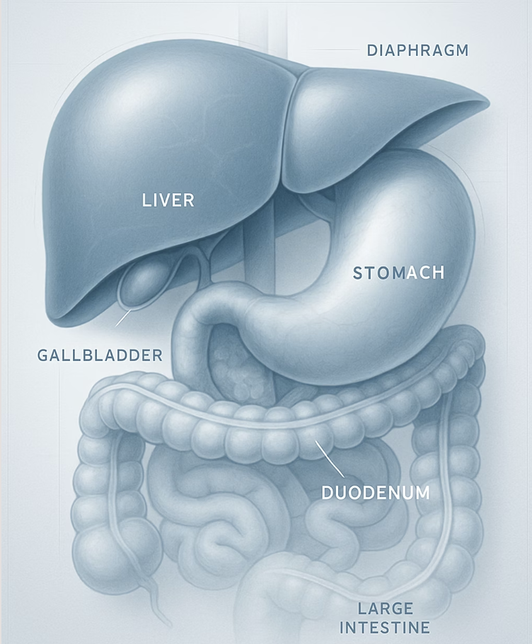 단순한 소화불량이 아닐 수 있어요