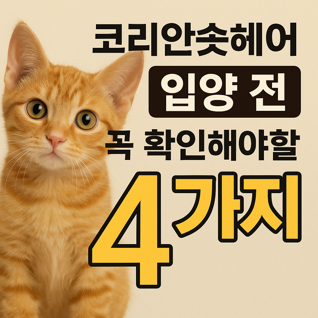 코리안숏헤어 입양