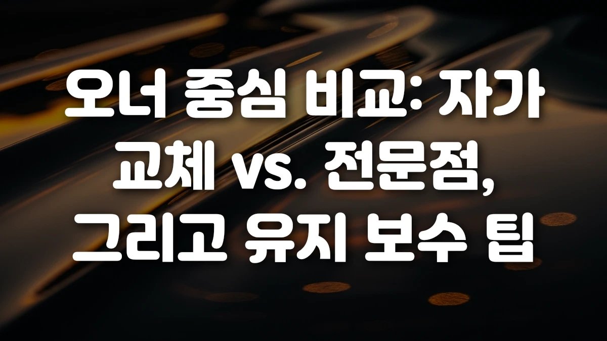 오너 중심 비교 자가 교체 vs 전문점 그리고 유지 보수 팁