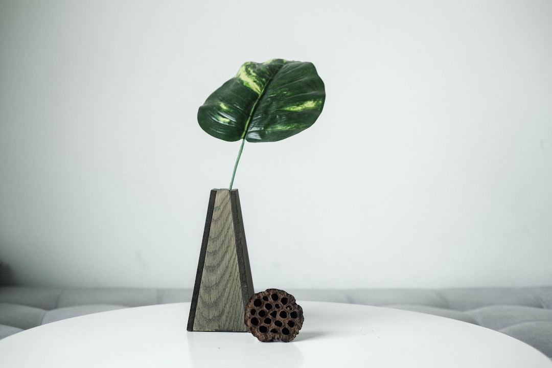 Arrangement