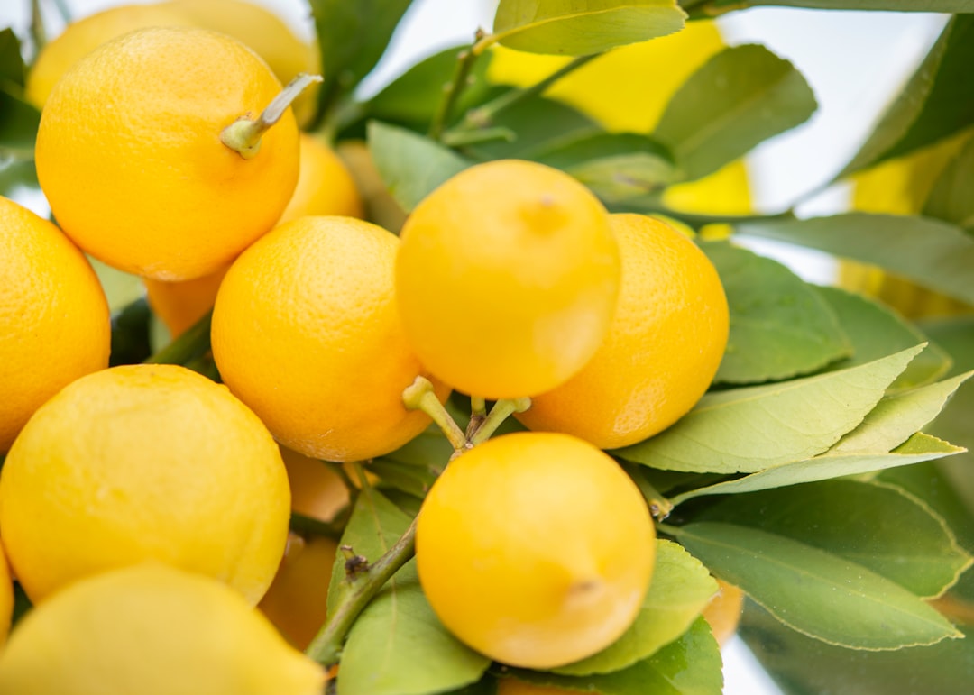 Lemonade