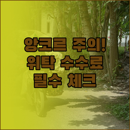 스카이 앙코르 항공 탑승구 위탁 요금..