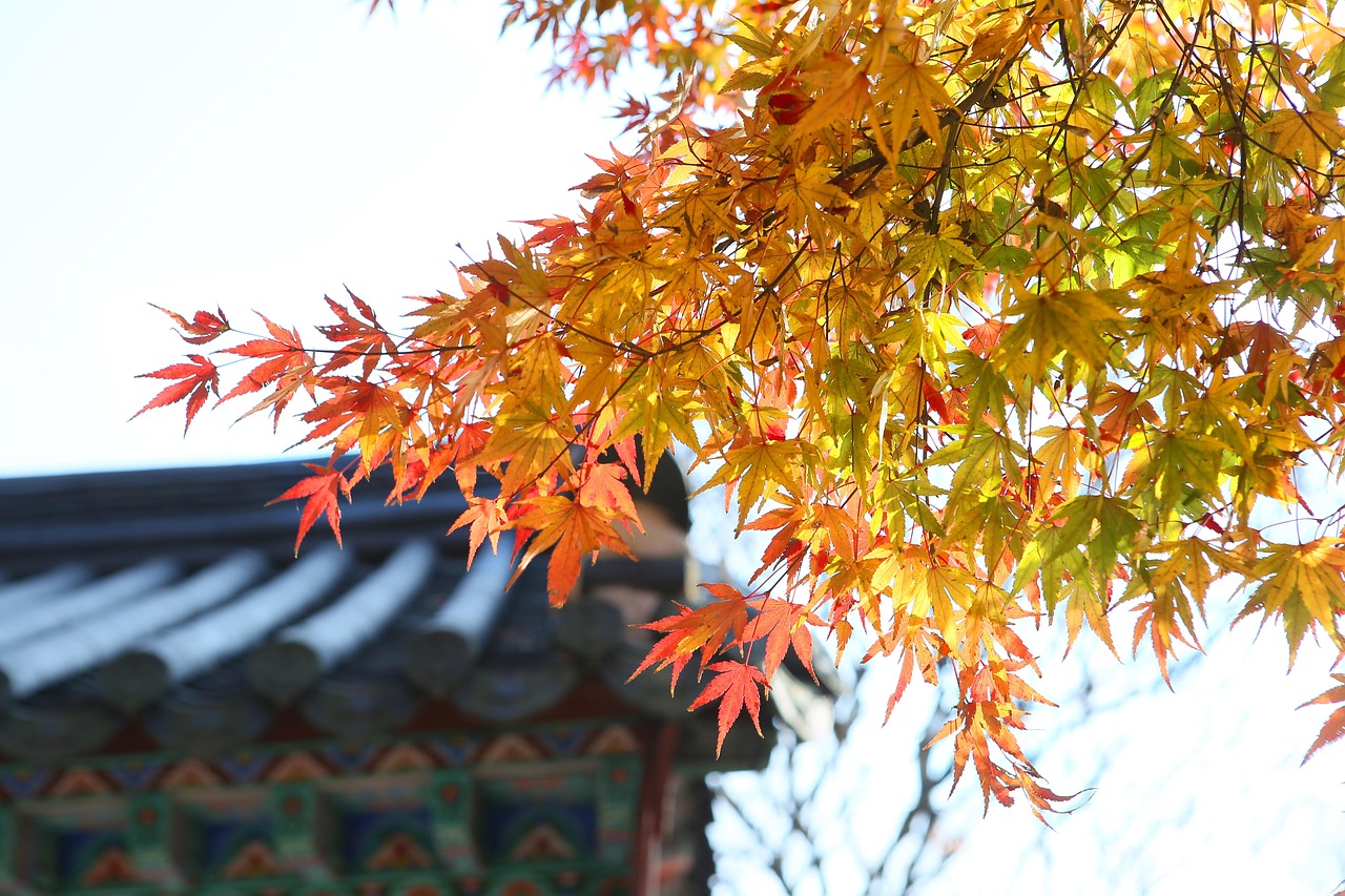 전통사찰vs 현대사찰, 차이점과 공통점