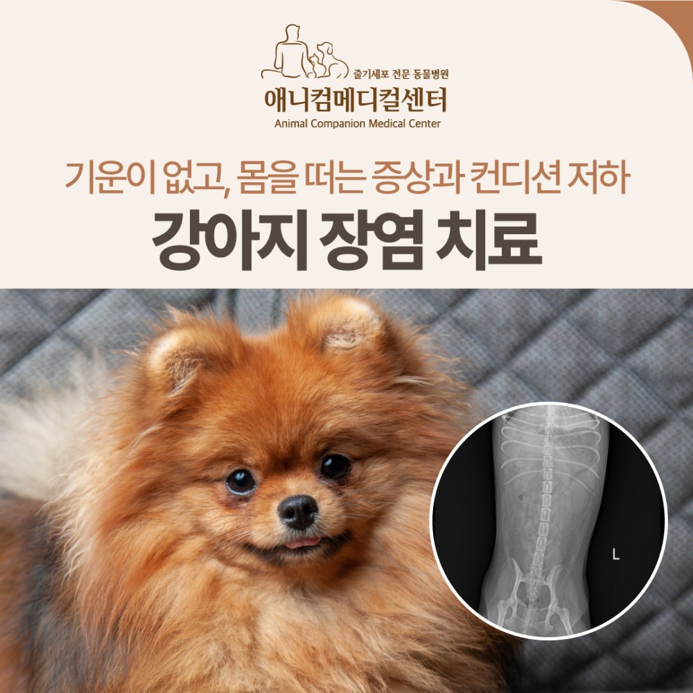 여행 전과 여행 중 모두 건강 상태를 확인