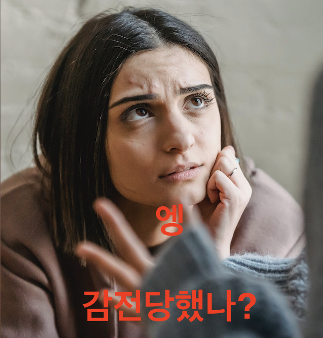 한전 밈