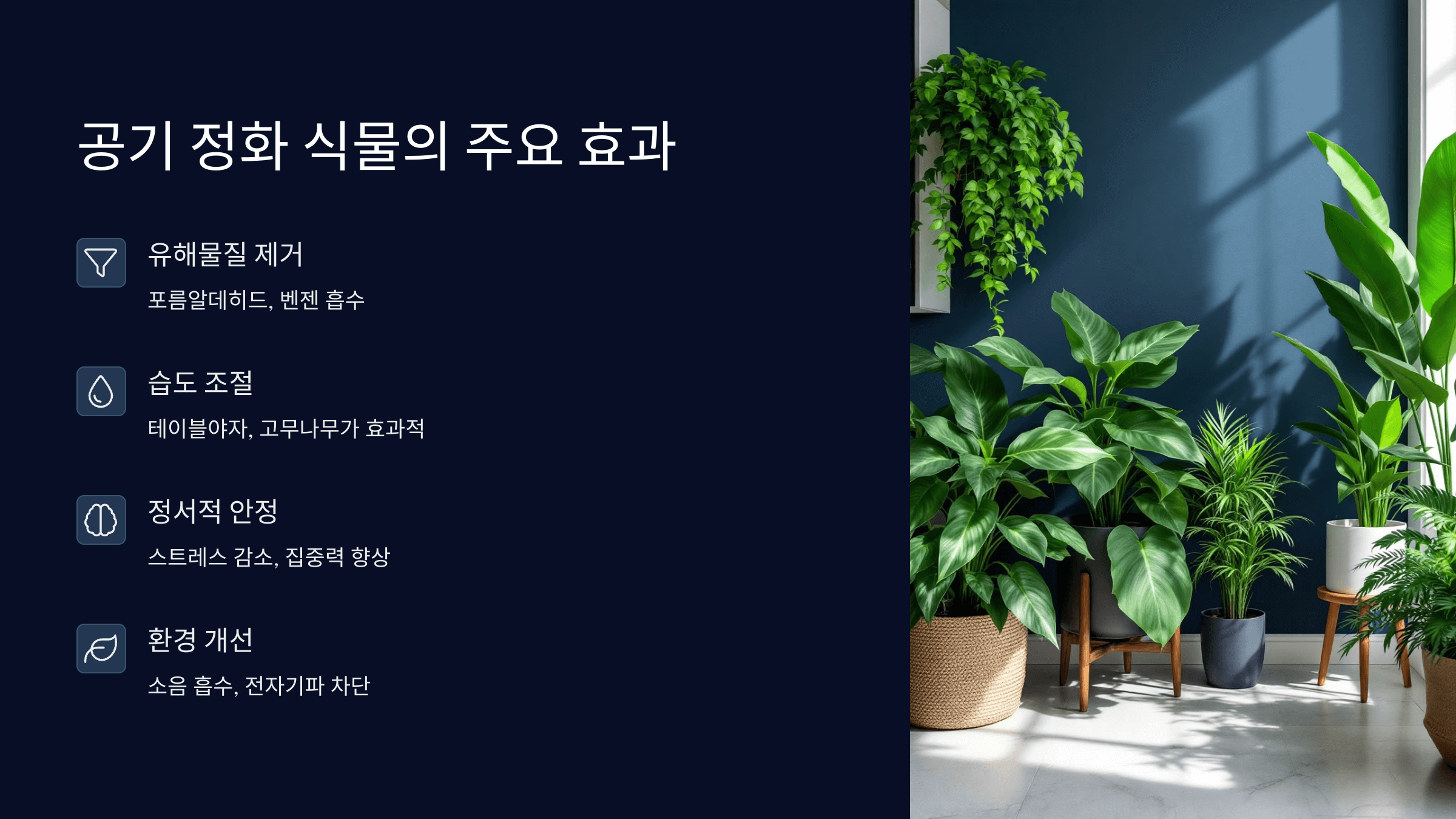 주요 효과