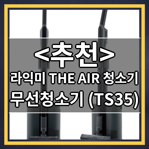 라익미 THE AIR 청소기 (무선청소기 (TS35))