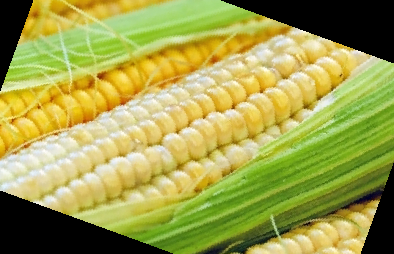 자일로 올리고당 분말 효능 가격