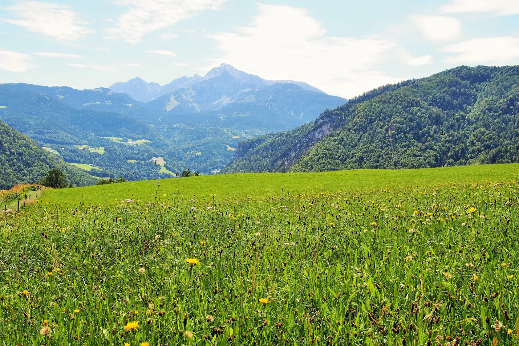 농어촌 출신 대학생 무이자 융자 신청자격과 신청방법 알아보고 바로 신청하기