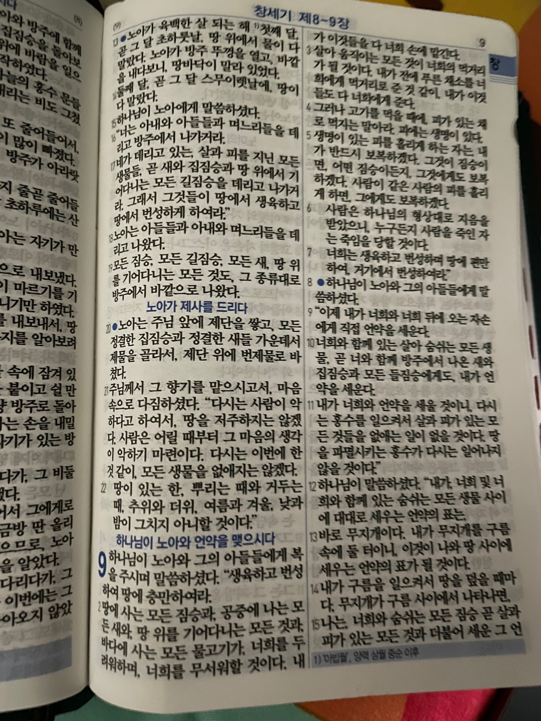 창세기 9장