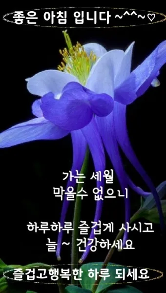 아침 인사로 좋은 글 이쁜글 기분좋은 인사말_14