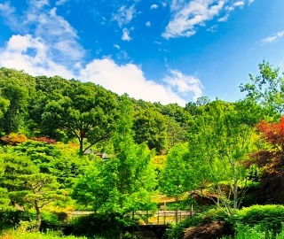 화담숲 예약 방법부터 운영시간까지! 방문 전 꼭 알아야 할 정보