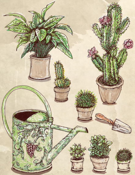 화분 삽 물주기