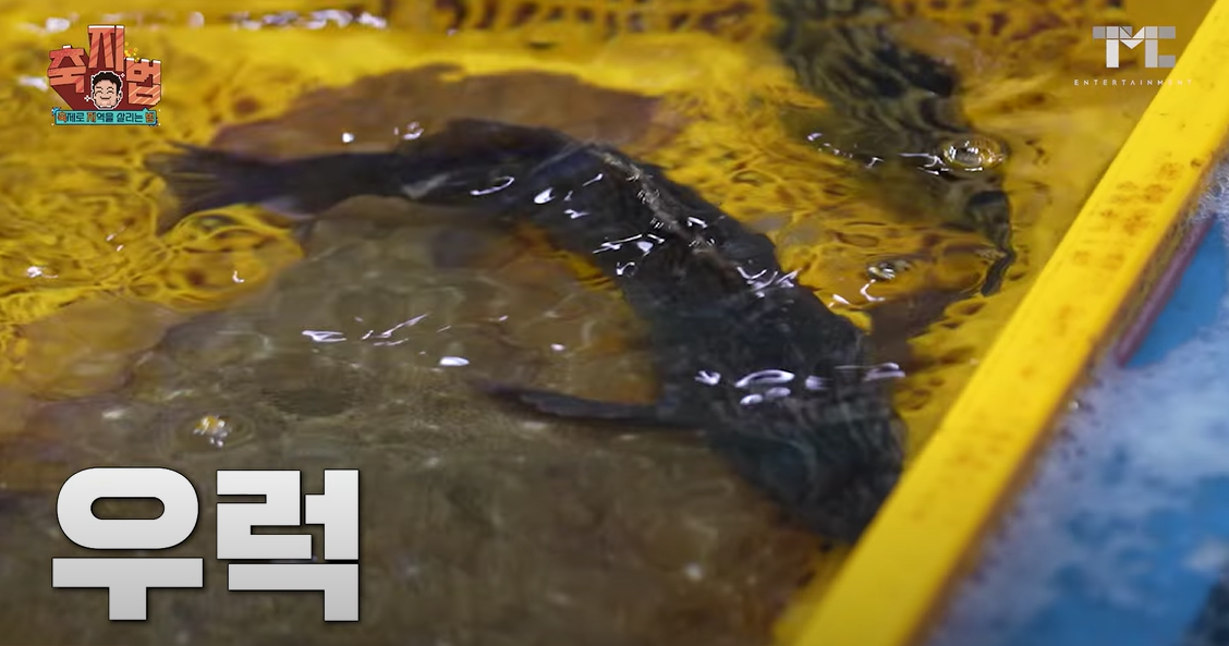 2024-통영-어부장터