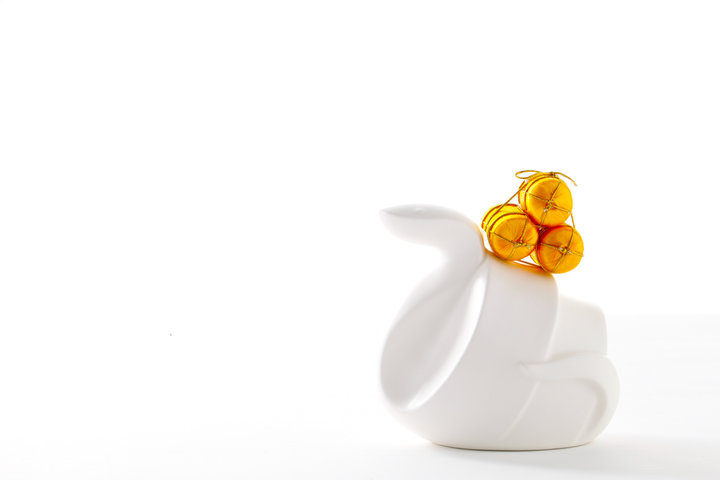 을사년 뱀띠 신년 운세