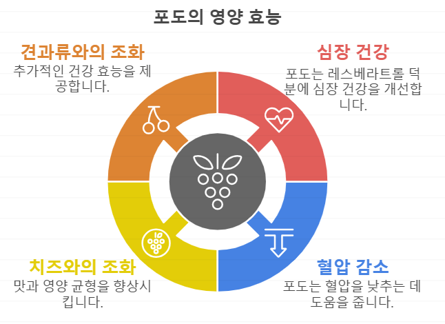 심혈관 건강 포도