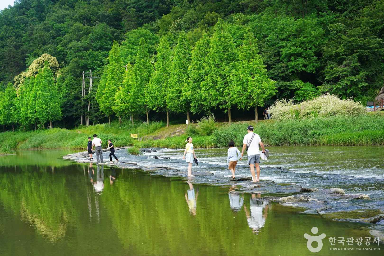 미르숲 호수