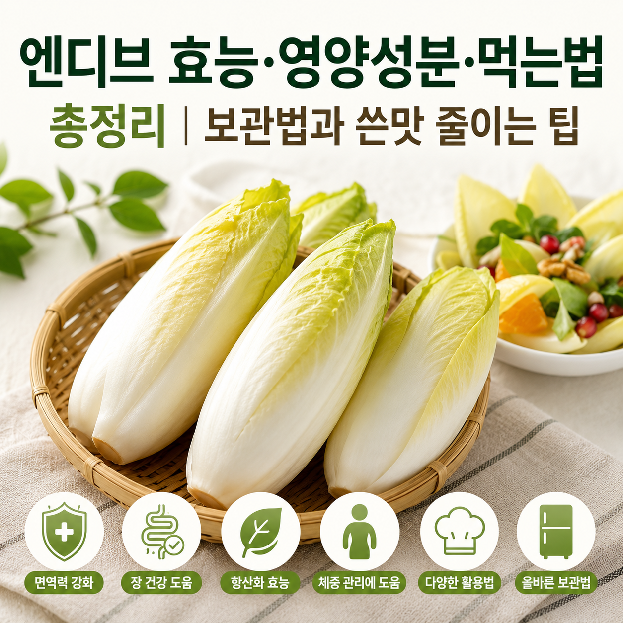 엔디브 효능
