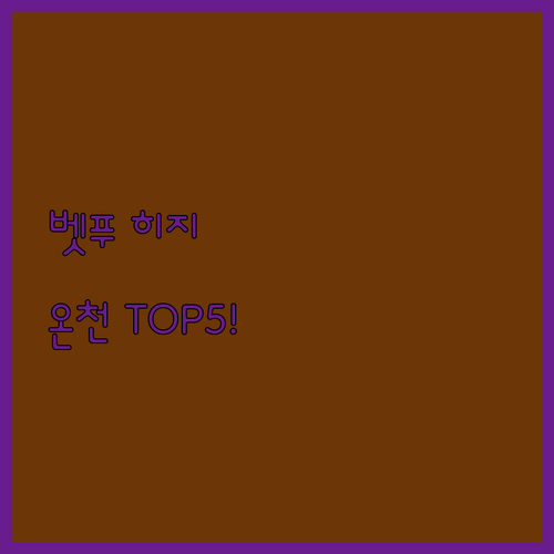 벳푸 히지 온천 숙소 추천 TOP 5..