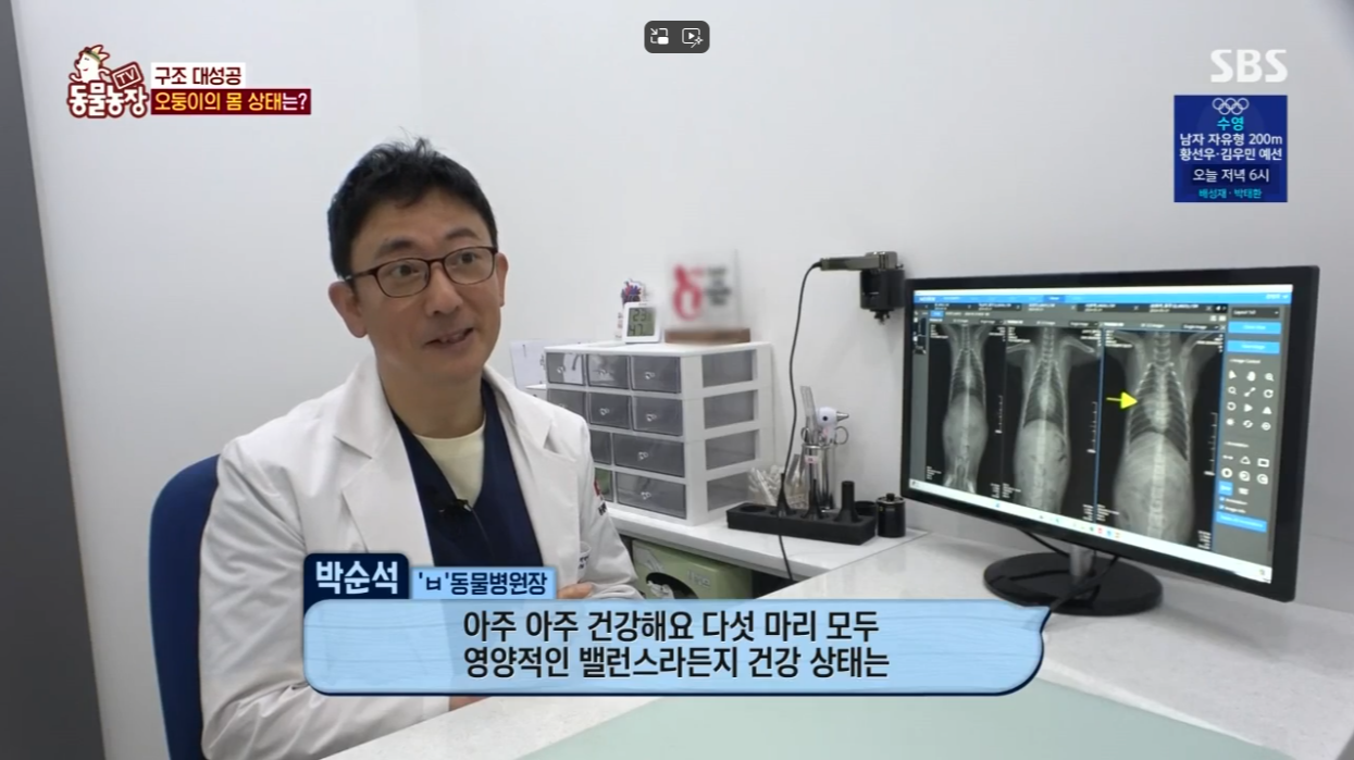 동물농장