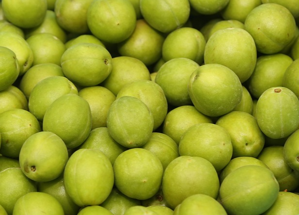 매실의 효능과 부작용 매실 보관법 매실 섭취방법