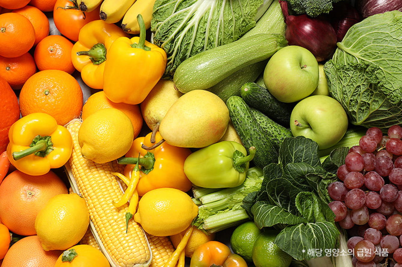 신봉선 다이어트 콜레올로지 컷 성분