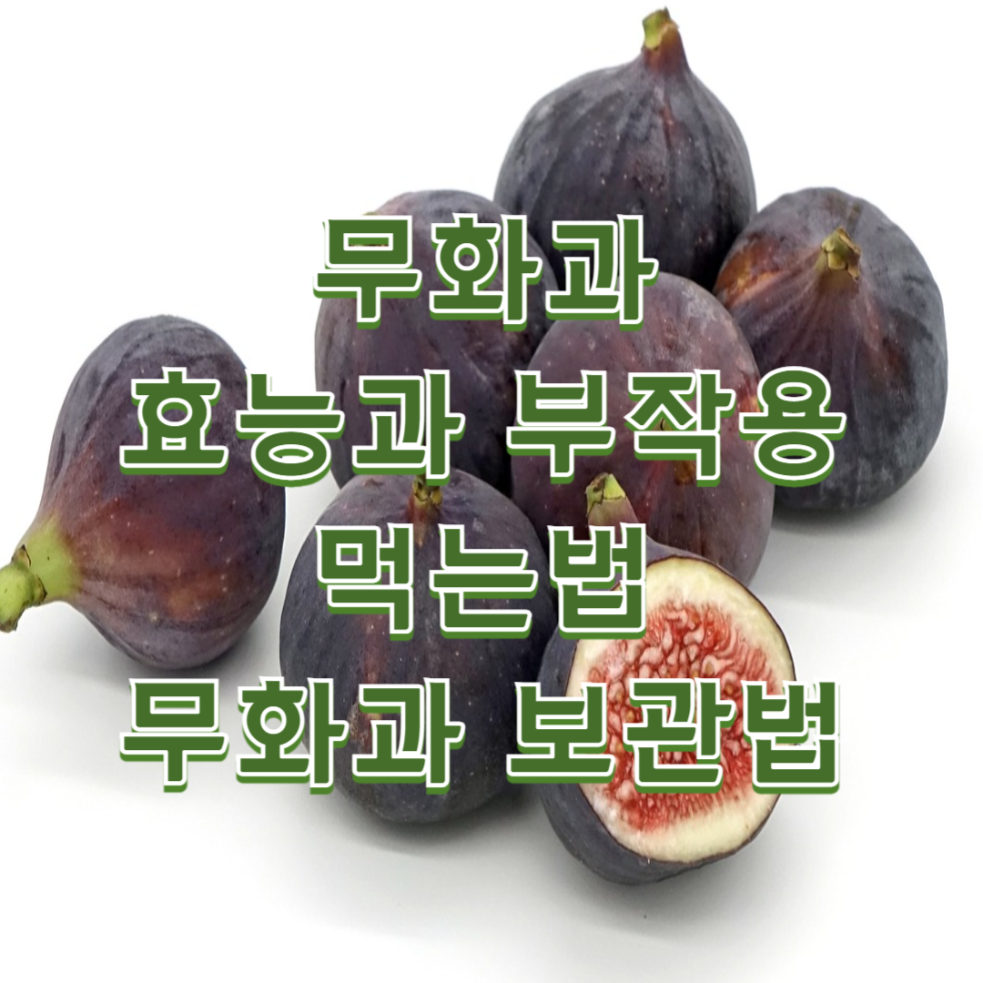 무화과 효능, 부작용, 먹는 법 및 보관법