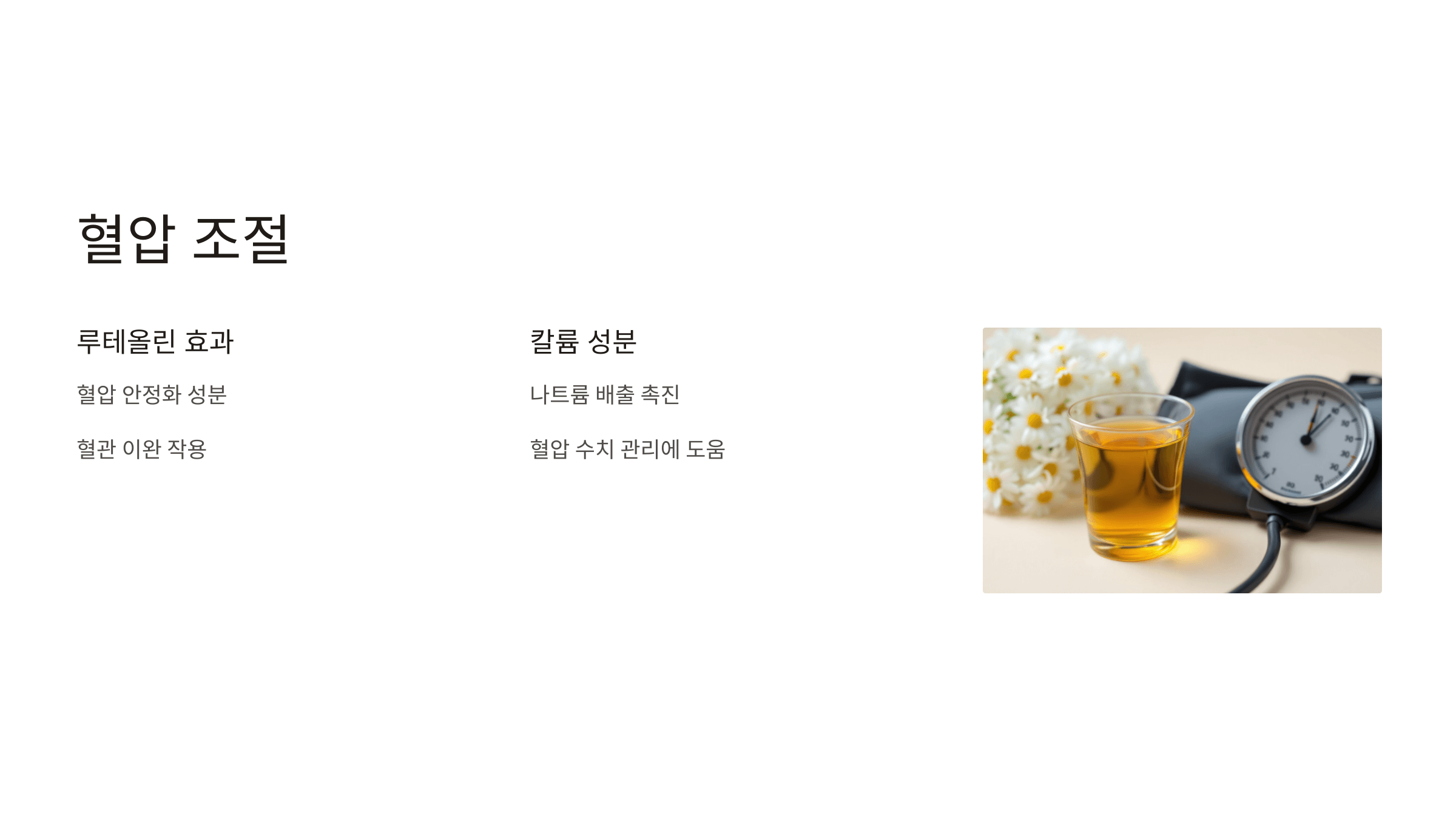 흰민들레 사진입니다.