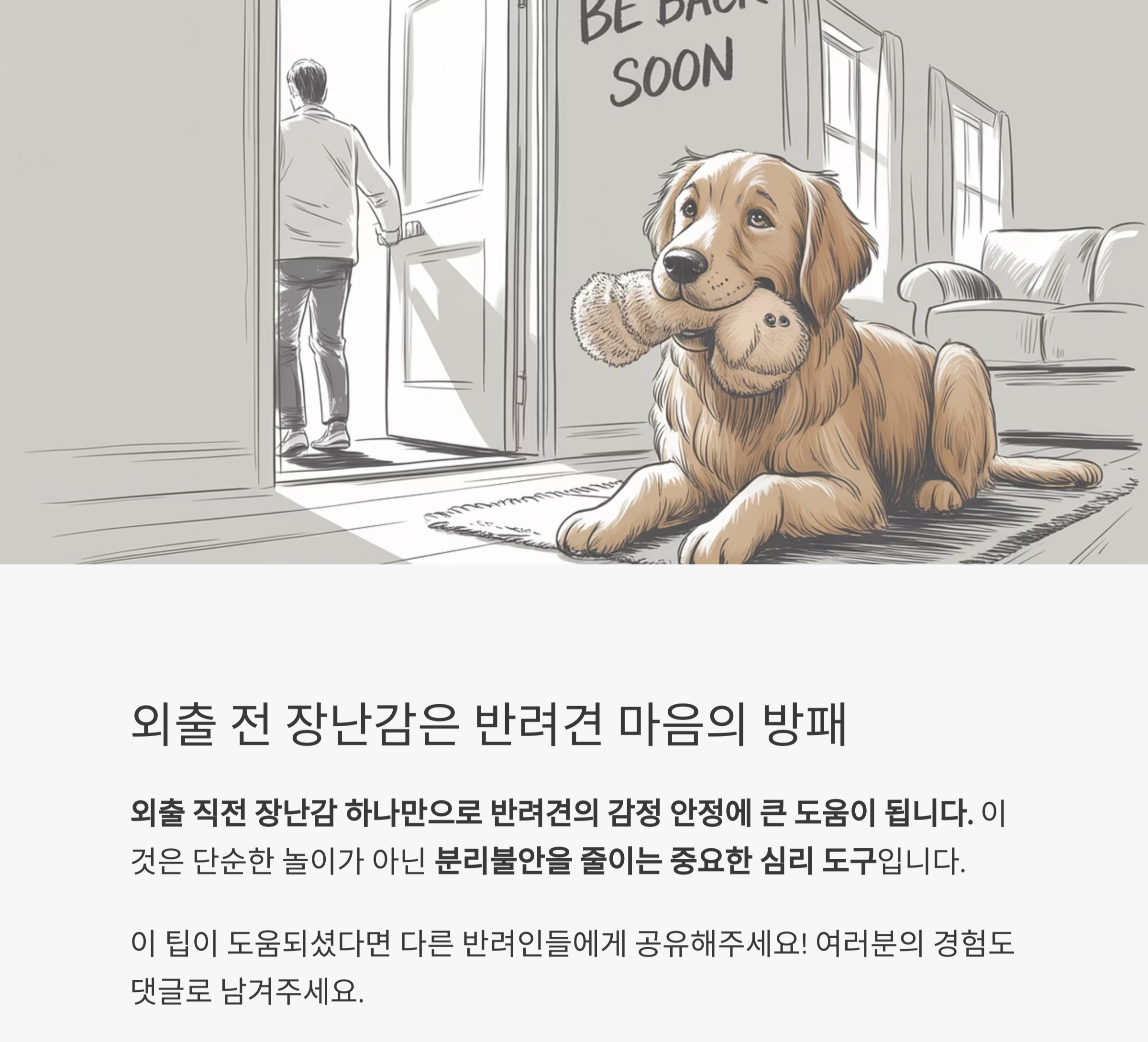 외출 전 장난감 하나로 해결하는 반려견 분리불안