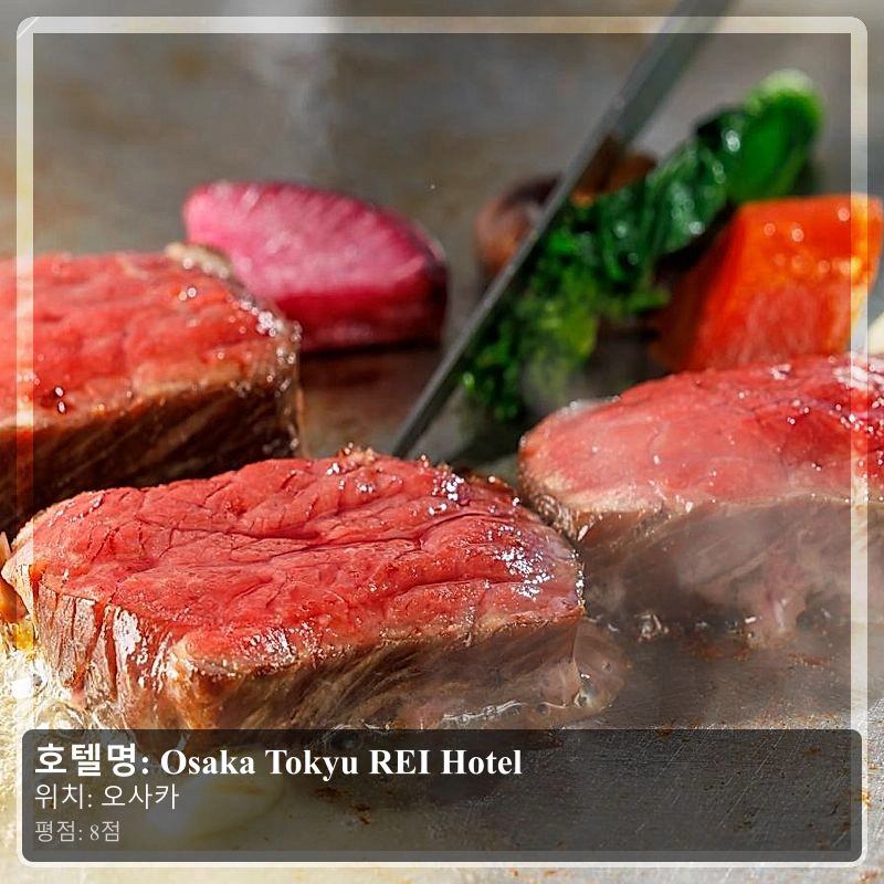 Osaka Tokyu REI Hotel_5