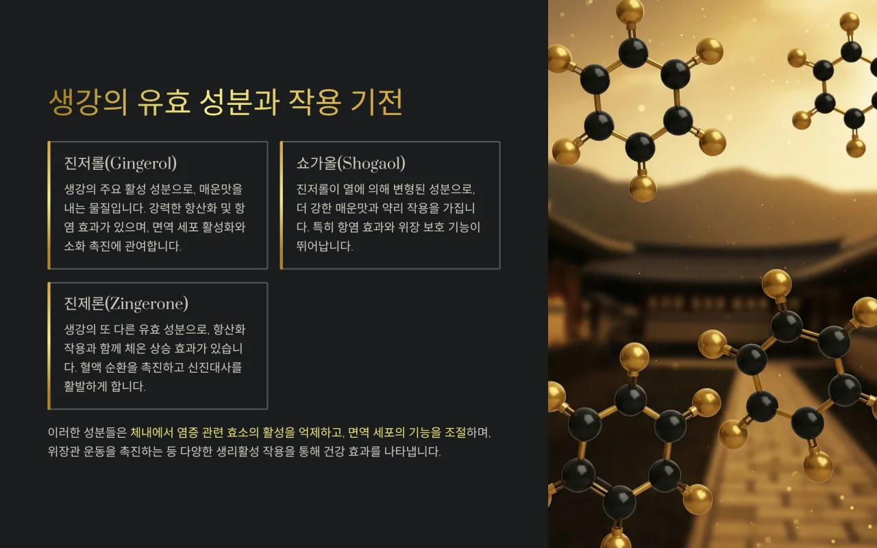 생강의 유효 성분과 작용 기전