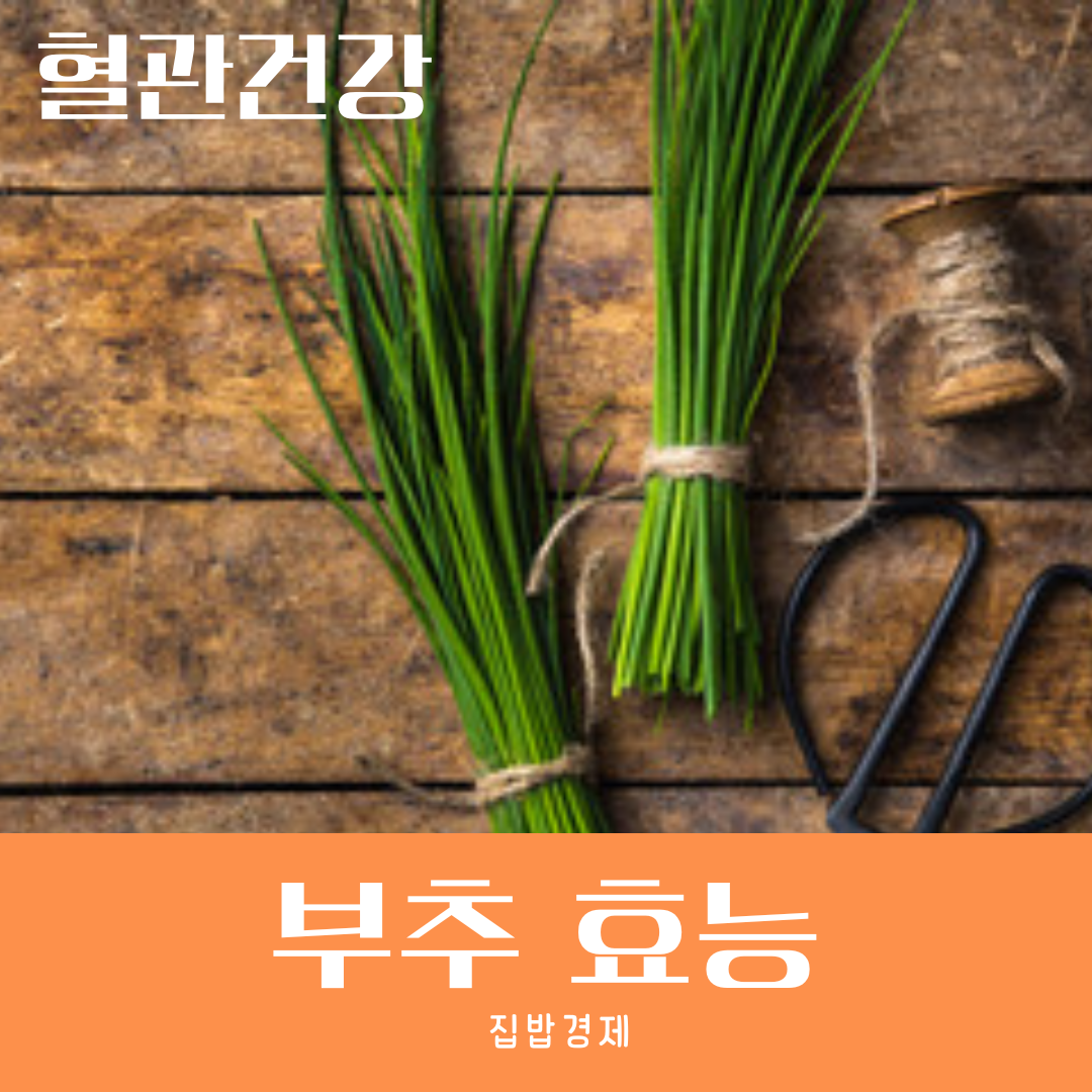 부추 썸네일