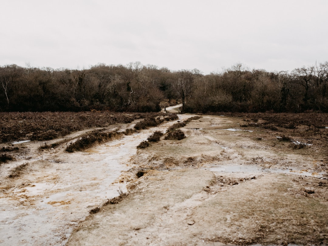 Mud