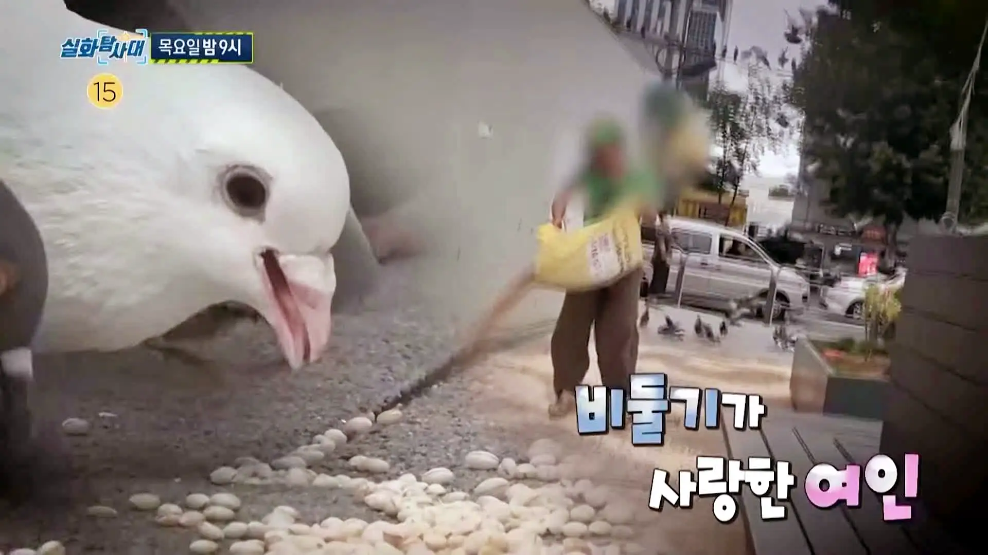 실화탐사대 금천구 비둘기엄마 구구맘 비둘기떼 피해 그리고 두 아내를 둔 아버지 춤바람과 카지노 계의 큰손 아버지