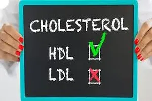 콜레스테롤