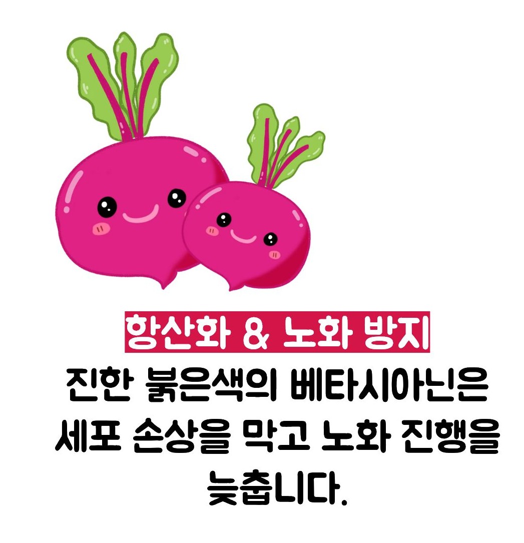 비트 효능