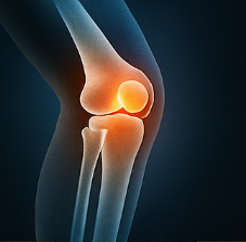 콘드로이친 효능