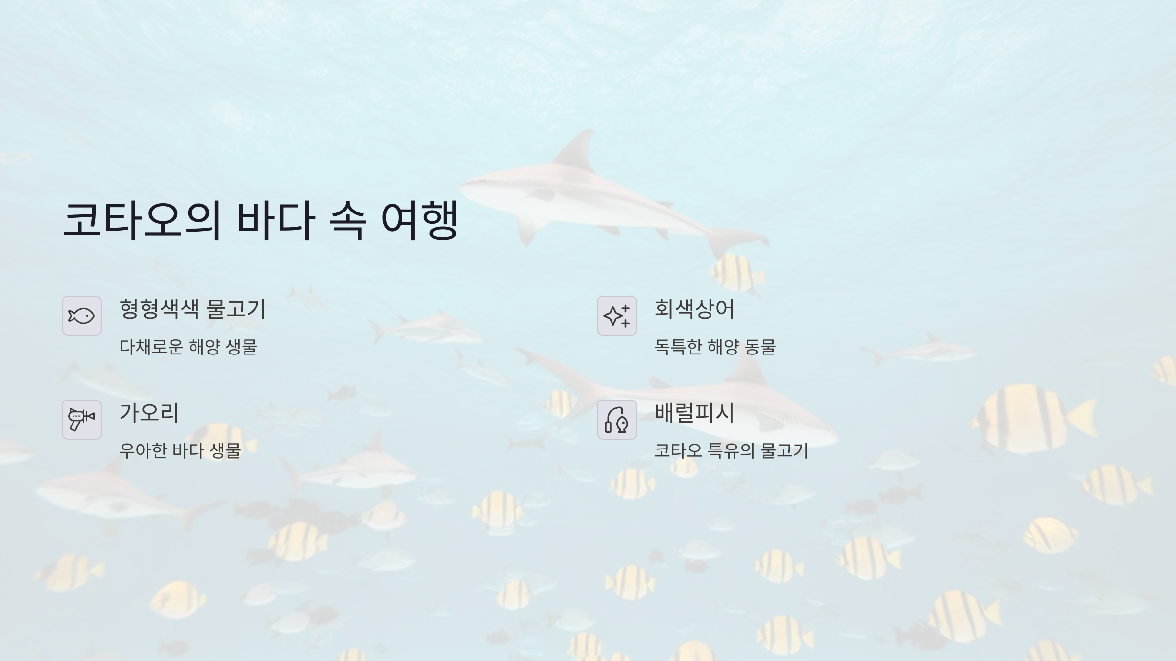 태국 색다른 여행 코타오 다이빙 명소와 스노클링 추천: 해양 생물 관찰을 위한 여행