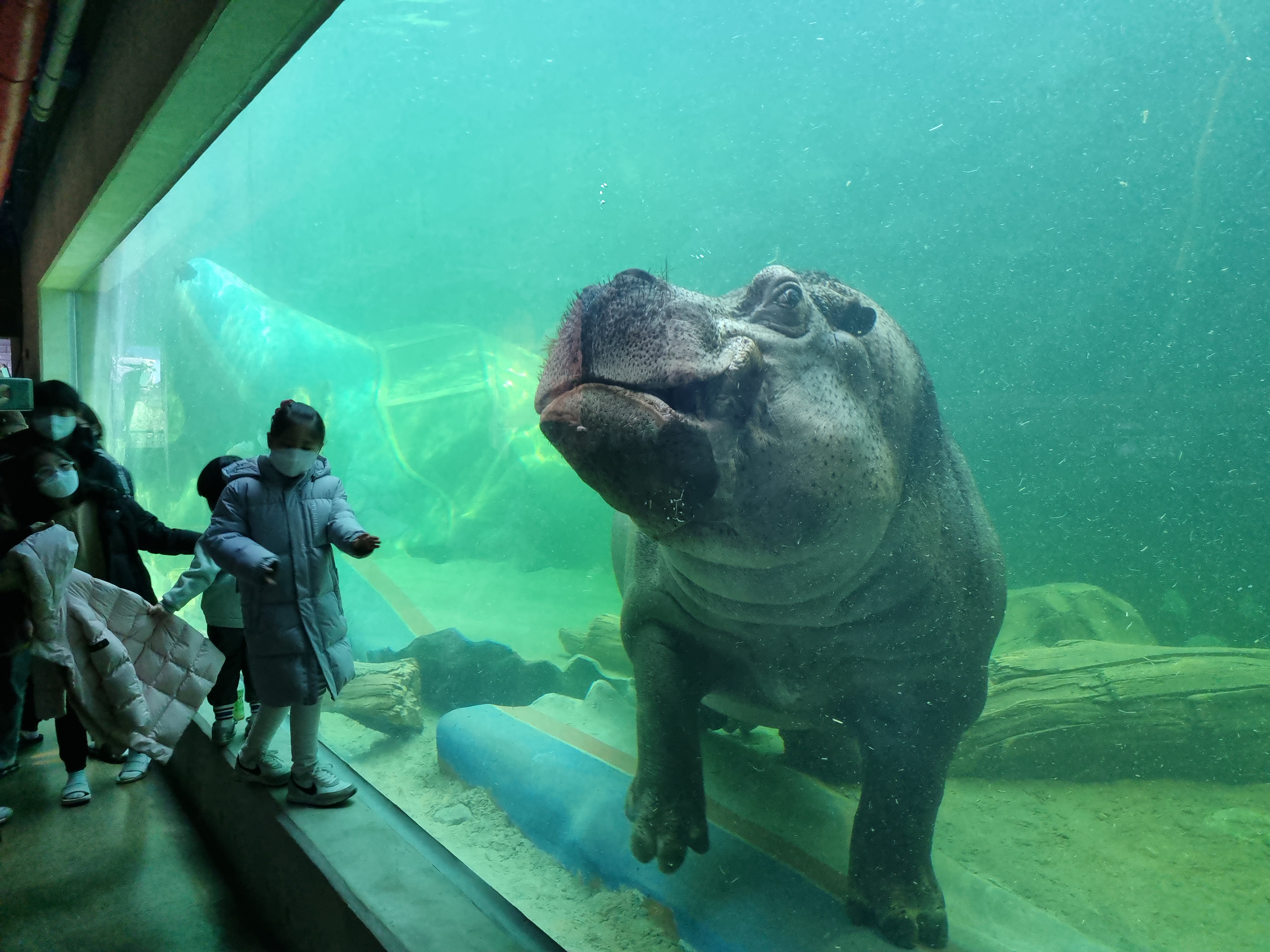 하마 생태 설명회