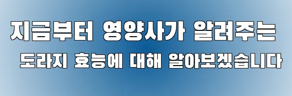 지금부터 영양사가 알려주는 도라지 효능에 대해 알아보겠습니다