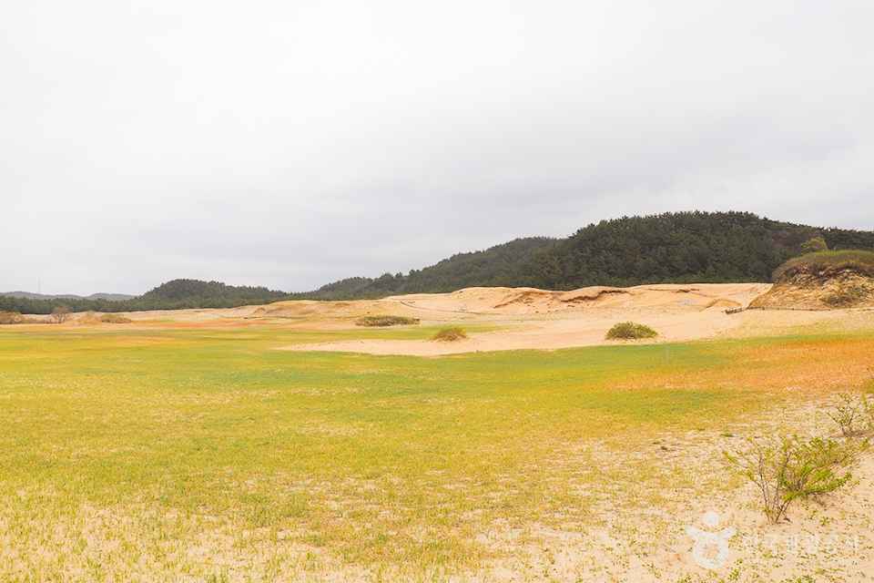 신두리 해안사구