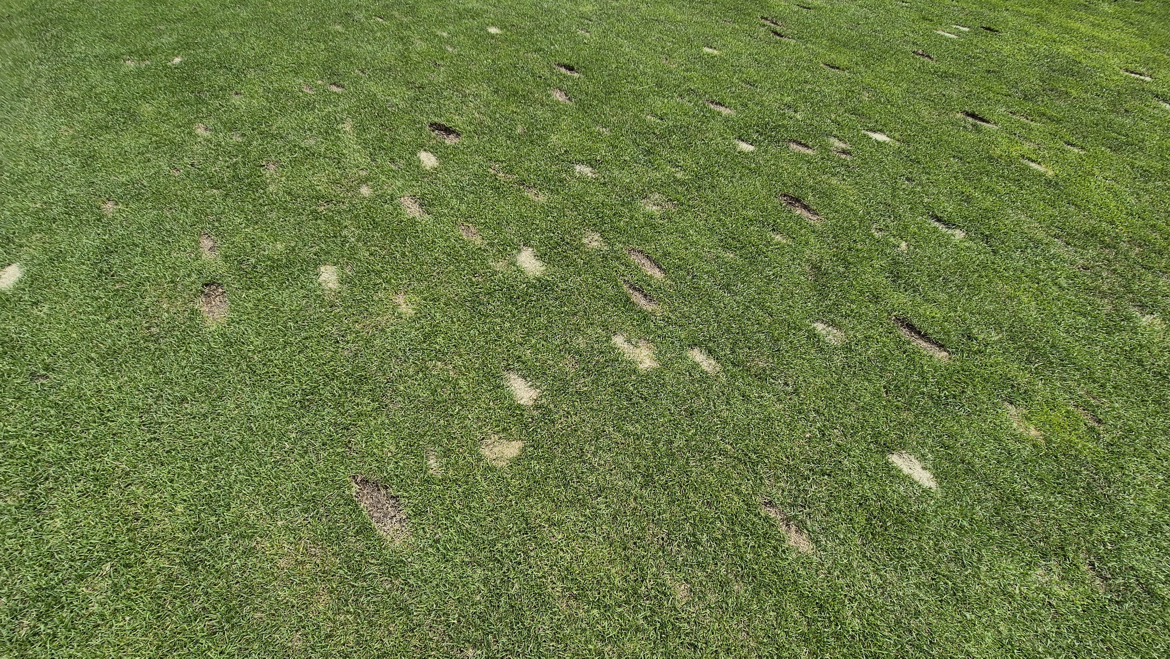 센테리움cc 스코틀랜드-웨일즈 코스 라운드 후기