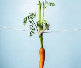 한살림 인터넷장보기