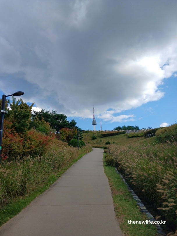 서울 단풍명소 남산타워 오르막 단풍길 풍경