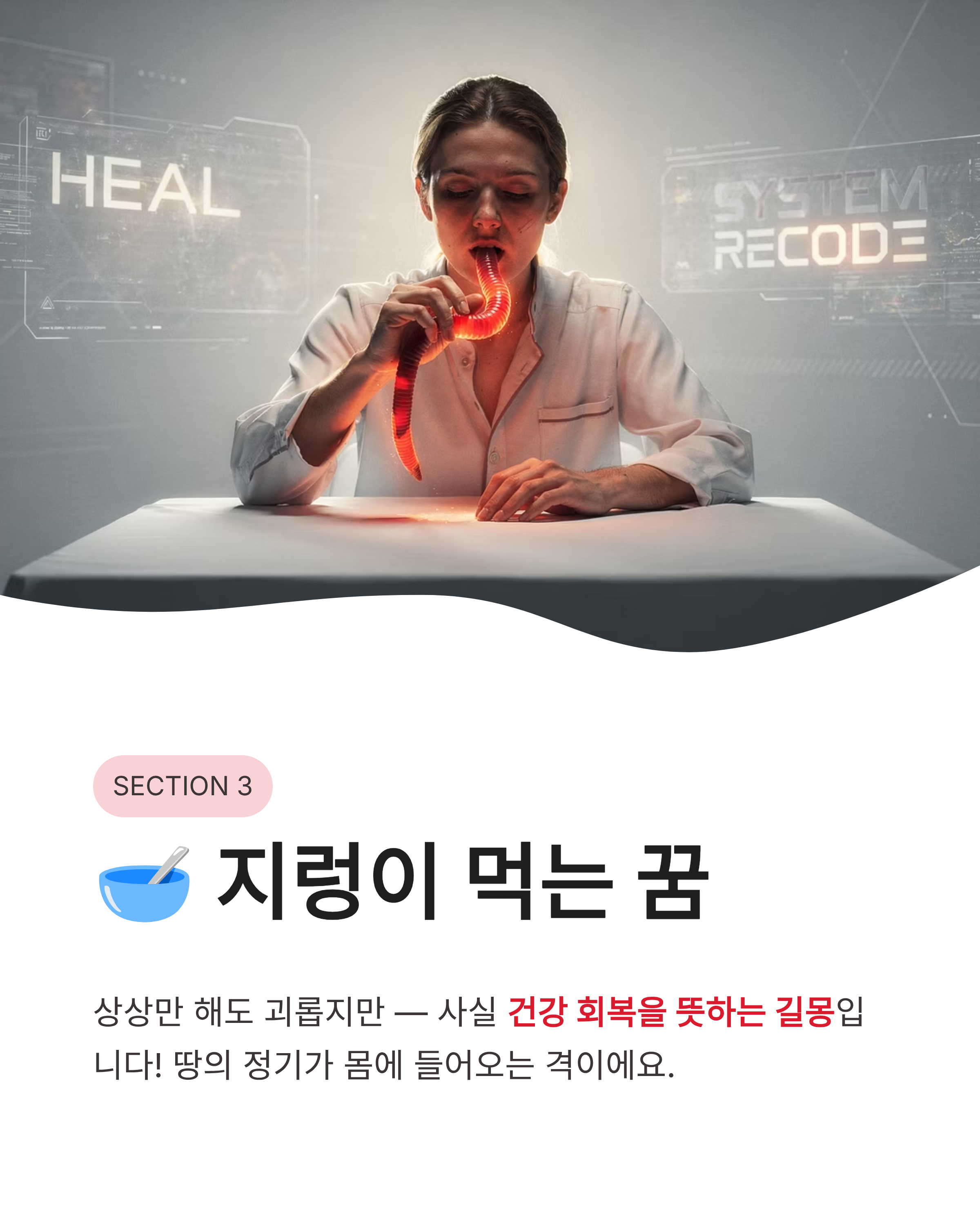 지렁이 꿈 해몽, 큰 지렁이 꿈, 태몽, 지렁이 먹는꿈, 몸에서 지렁이 나오는꿈 해몽