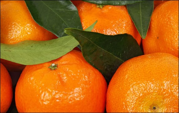 귤 효능 8
