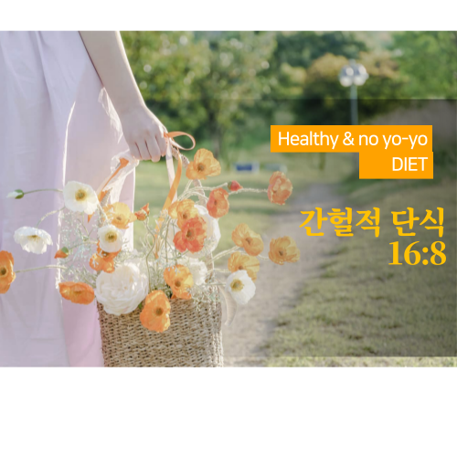 간헐적 단식 16:8 효과, 가장 실천하기 쉬운 건강 루틴의 모든 것