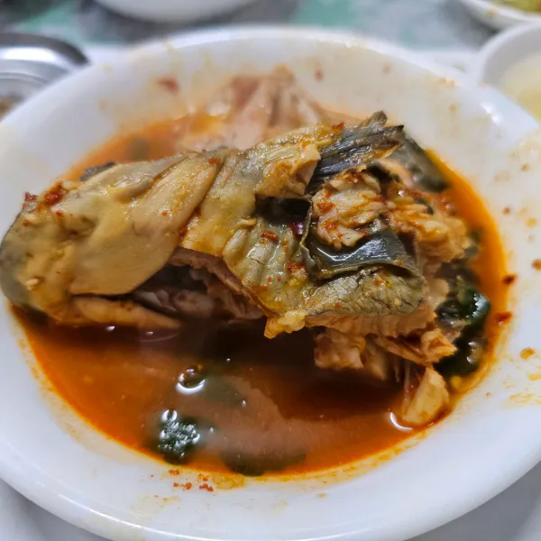 생생정보 우와한 식당 가물치오골계탕 음식점