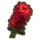 병솔꽃